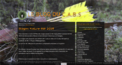 Desktop Screenshot of cabs41.com
